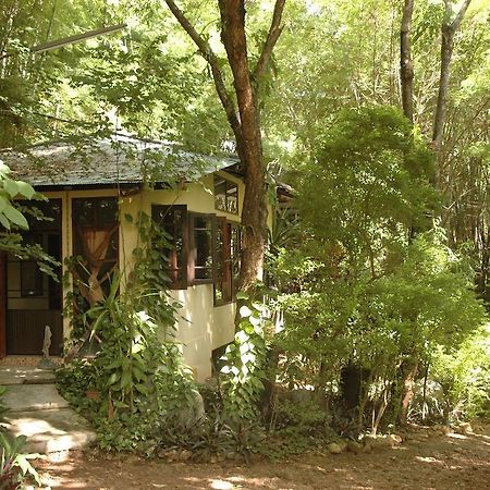 Momchailai Forest Retreat Kanchanaburi Luaran gambar