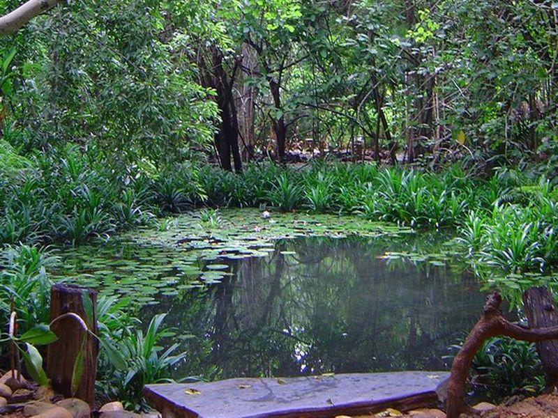 Momchailai Forest Retreat Kanchanaburi Luaran gambar